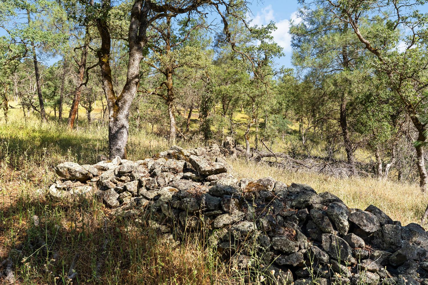 1484 Oregon Gulch Road Oroville CA 95965