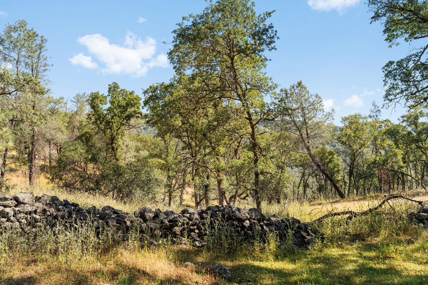 1484 Oregon Gulch Road Oroville CA 95965