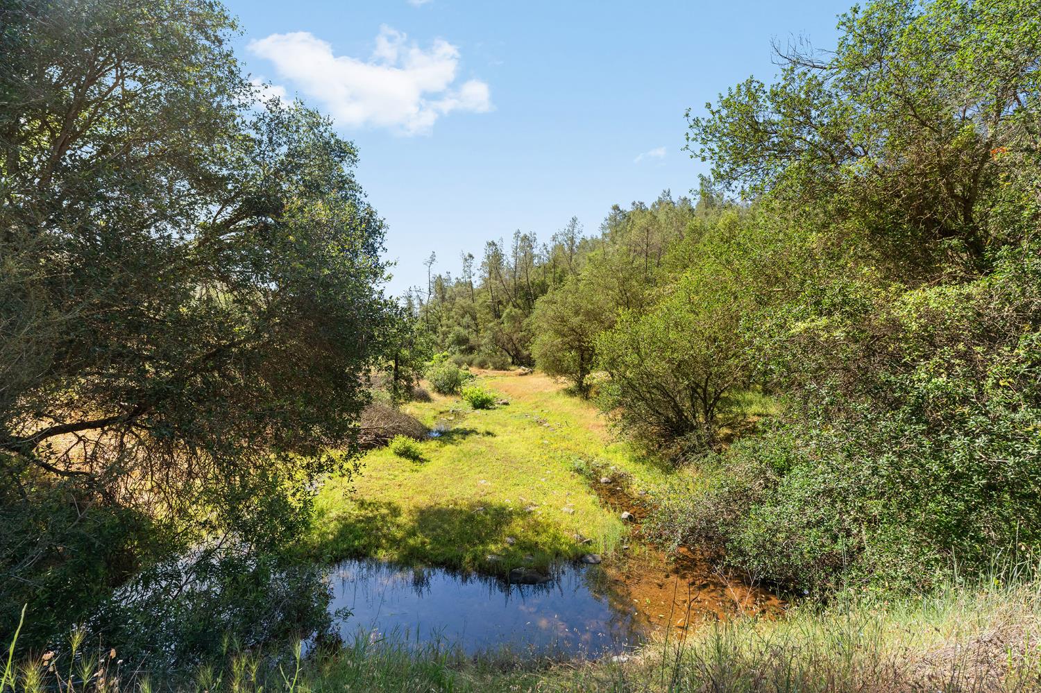 1484 Oregon Gulch Road Oroville CA 95965