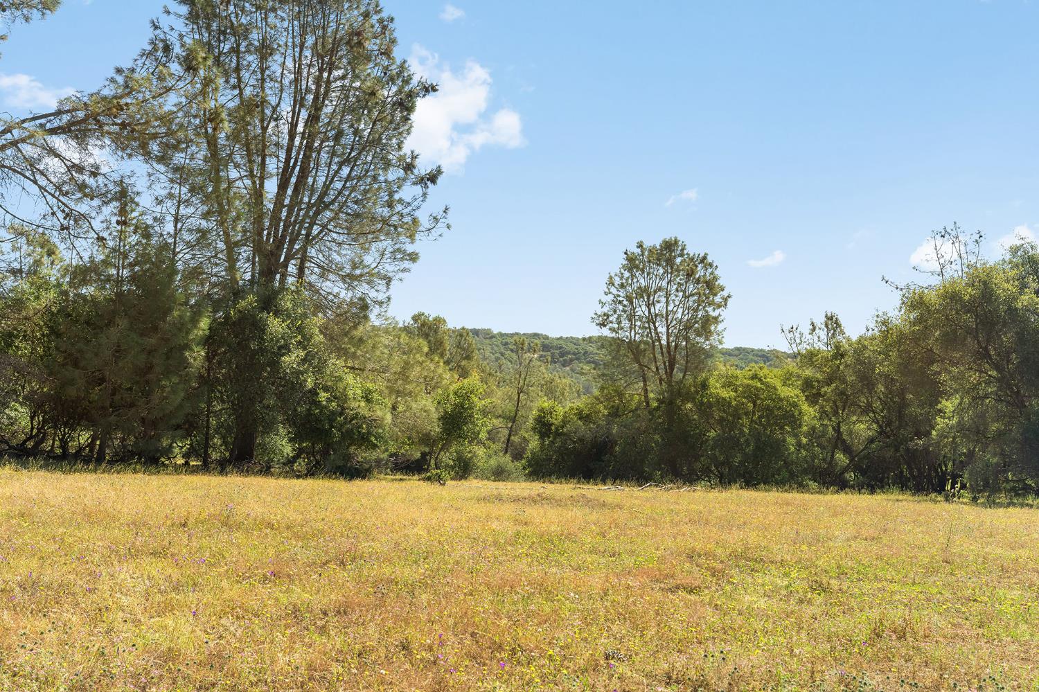 1484 Oregon Gulch Road Oroville CA 95965