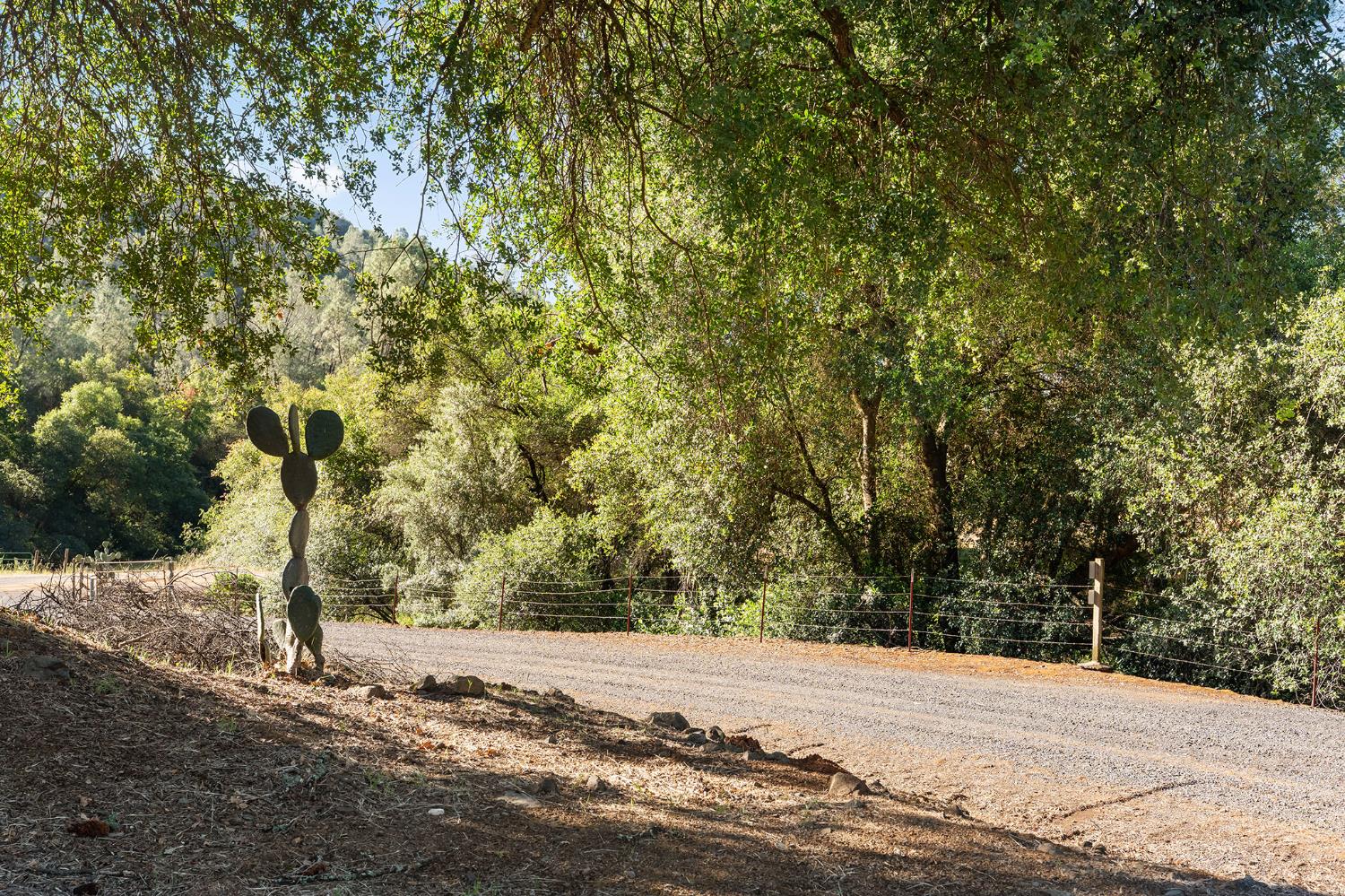 1484 Oregon Gulch Road Oroville CA 95965