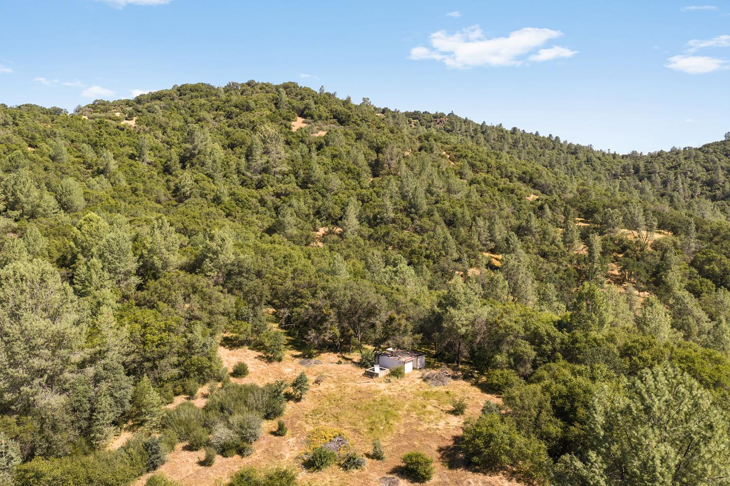 1484 Oregon Gulch Road Oroville CA 95965