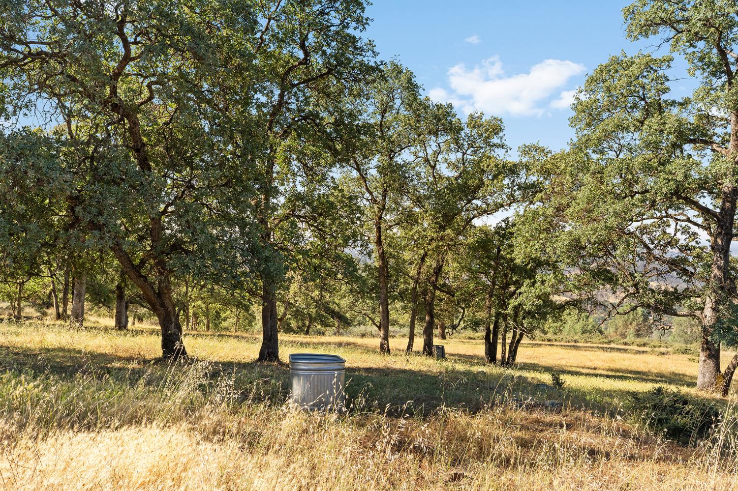 1484 Oregon Gulch Road Oroville CA 95965
