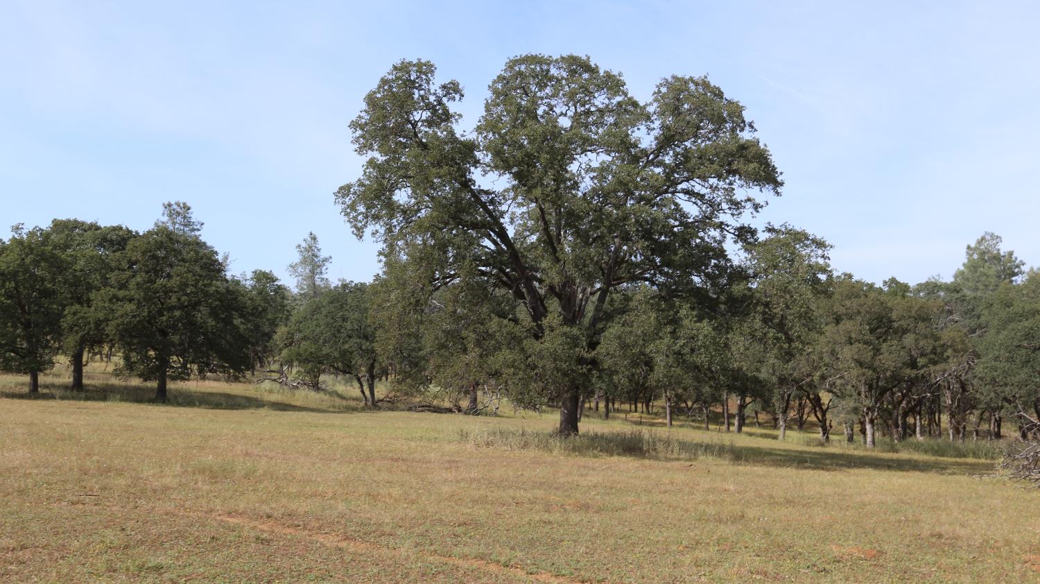 1484 Oregon Gulch Road Oroville CA 95965