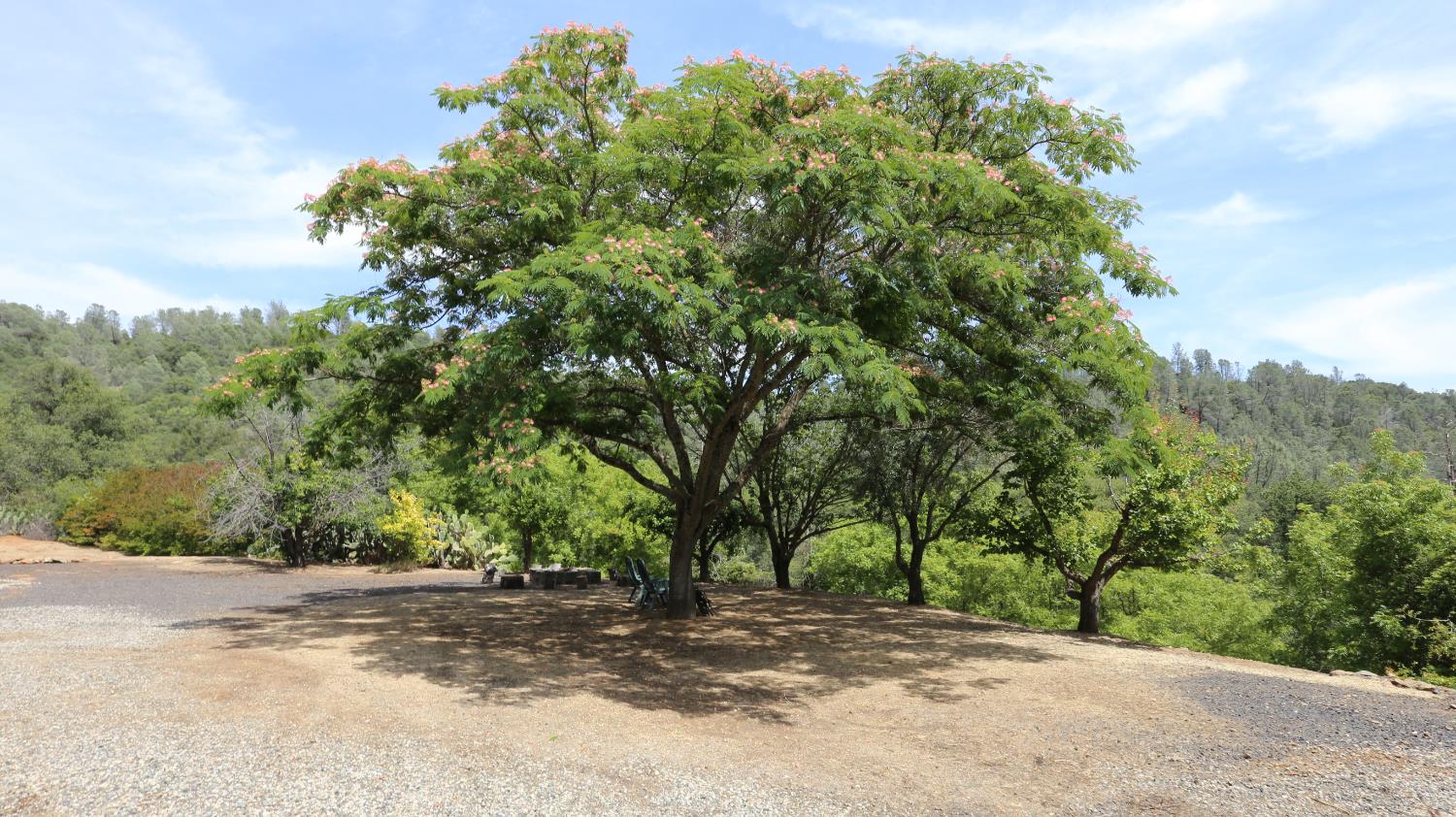 1484 Oregon Gulch Road Oroville CA 95965