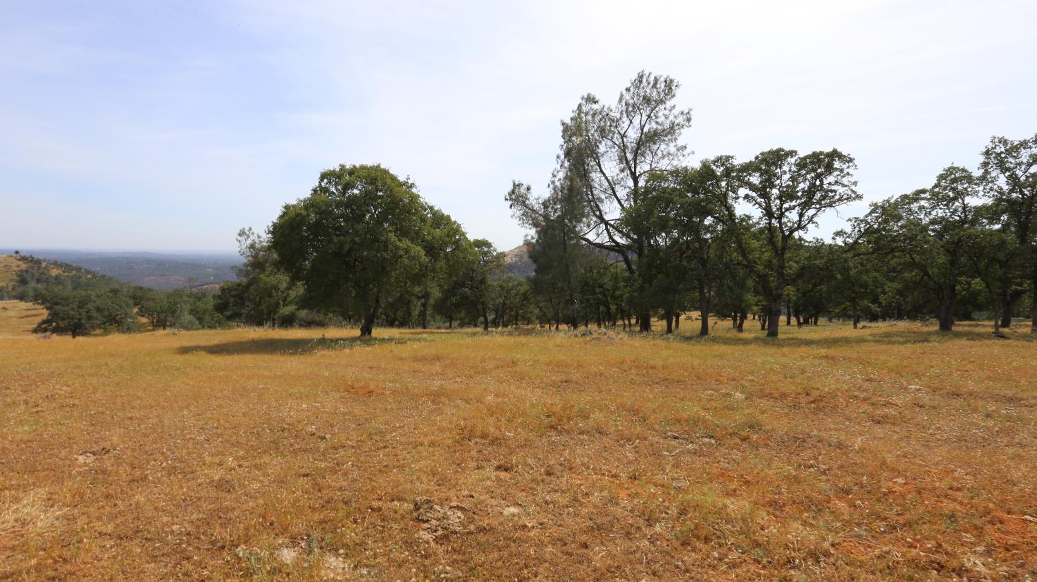 1484 Oregon Gulch Road Oroville CA 95965
