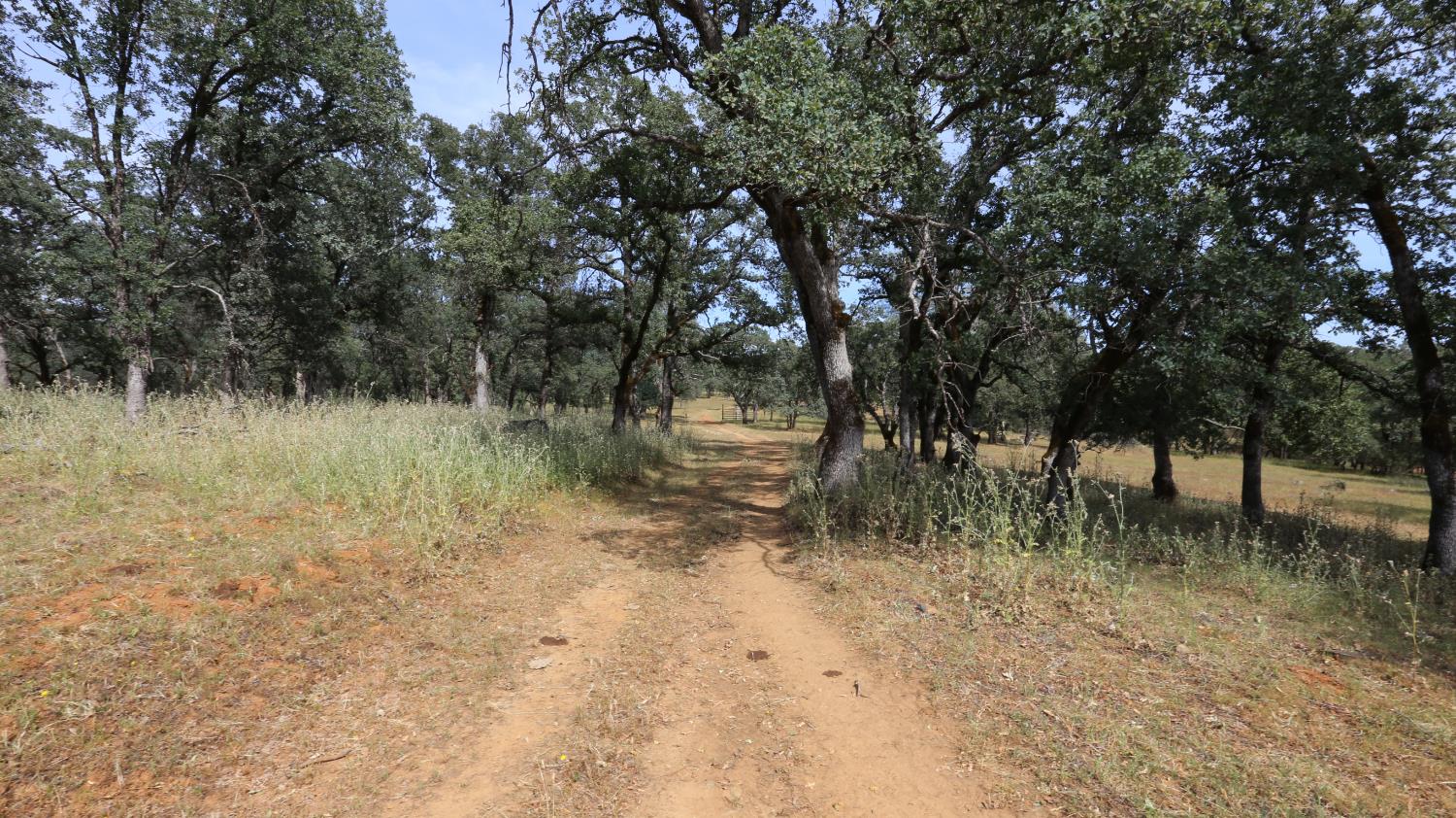 1484 Oregon Gulch Road Oroville CA 95965