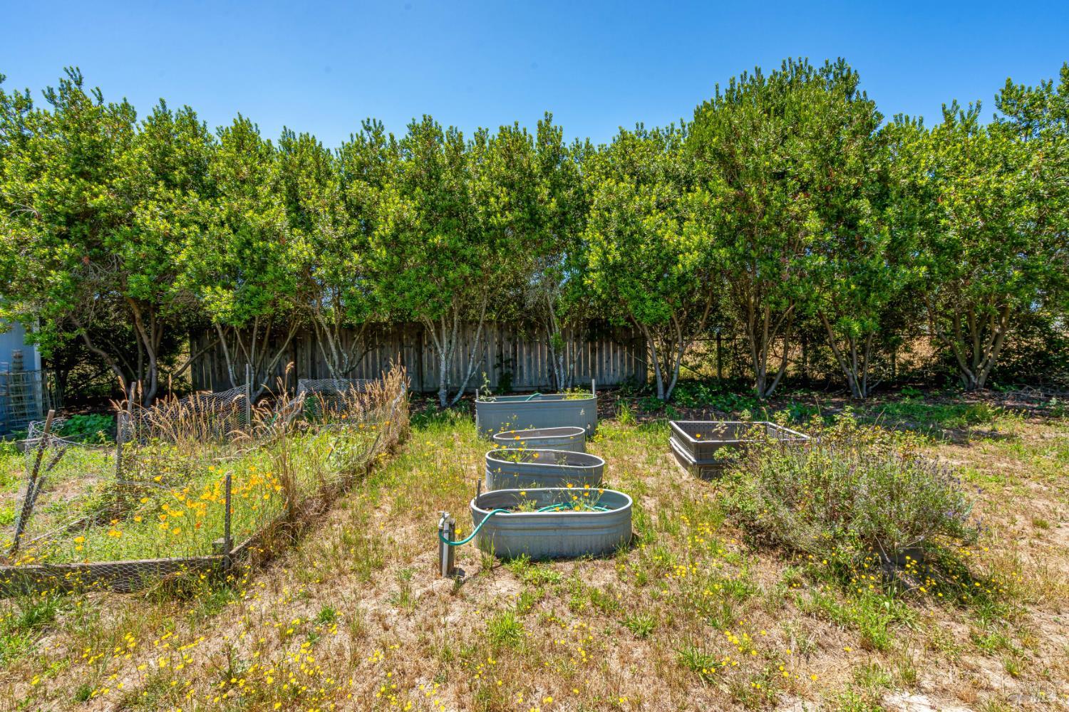 829 Rigsby Lane Sebastopol CA 95472