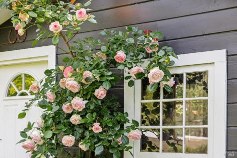160 Deer Hollow Road San Anselmo CA 94960