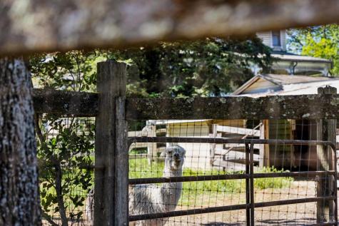 21730 Burndale Road Sonoma CA 95476