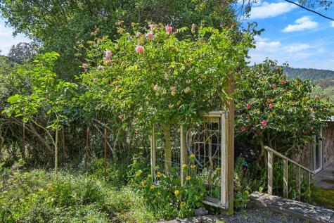 5955 Shoreline Highway Bolinas CA 94924