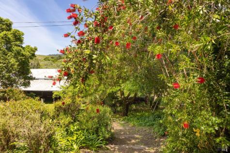 5955 Shoreline Highway Bolinas CA 94924