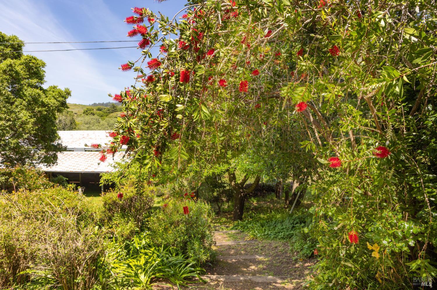 5955 Shoreline Highway Bolinas CA 94924