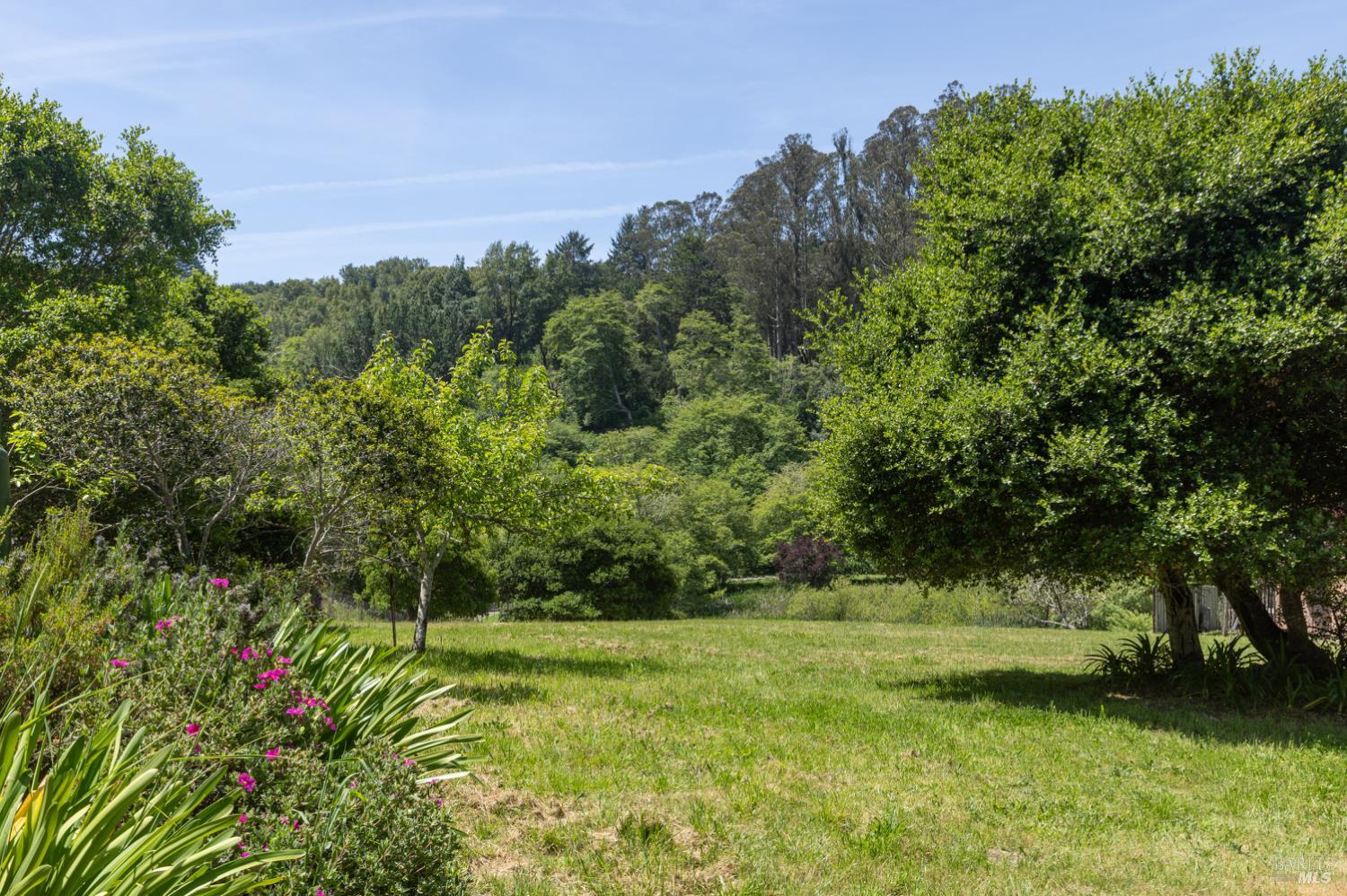 5955 Shoreline Highway Bolinas CA 94924
