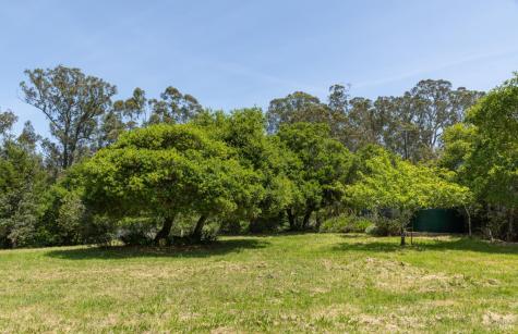 5955 Shoreline Highway Bolinas CA 94924