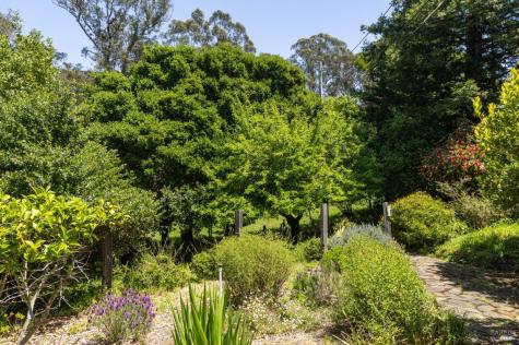 5955 Shoreline Highway Bolinas CA 94924