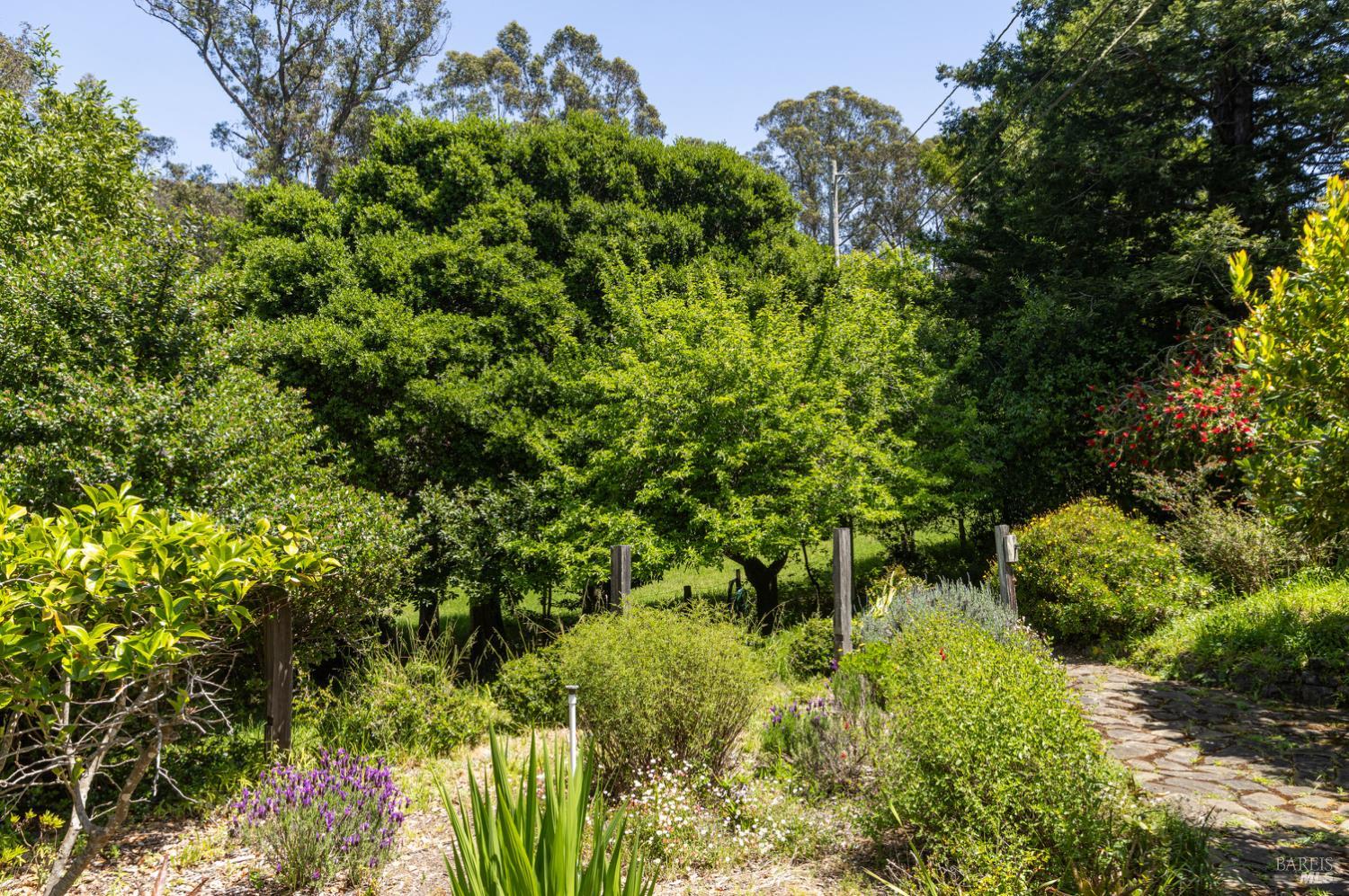 5955 Shoreline Highway Bolinas CA 94924