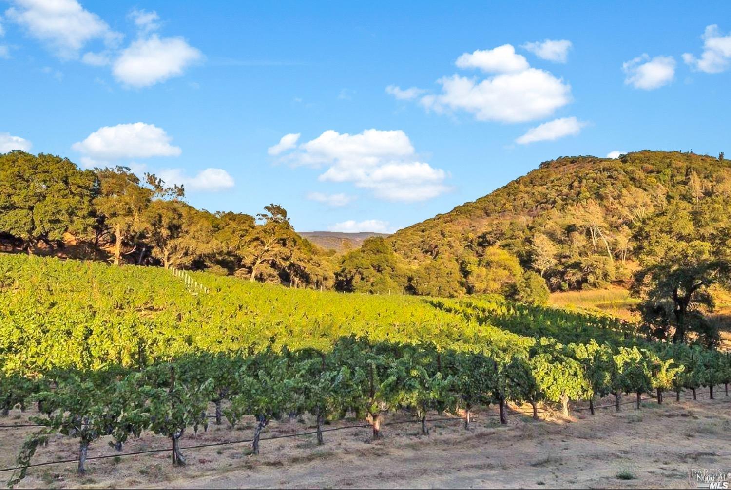 4080 Atlas Peak Road Napa CA 94558