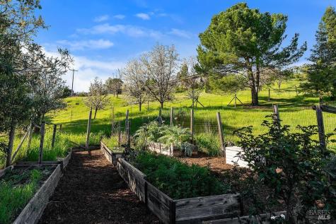 23121 Vineyard Road Geyserville CA 95441