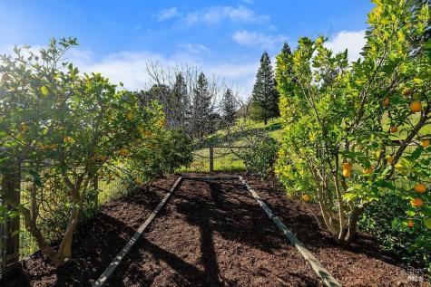 23121 Vineyard Road Geyserville CA 95441