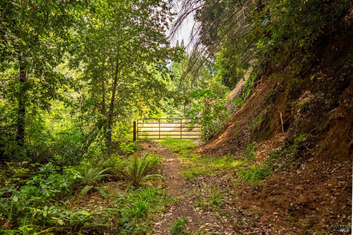 44150 Nash Mill Road Philo CA 95466
