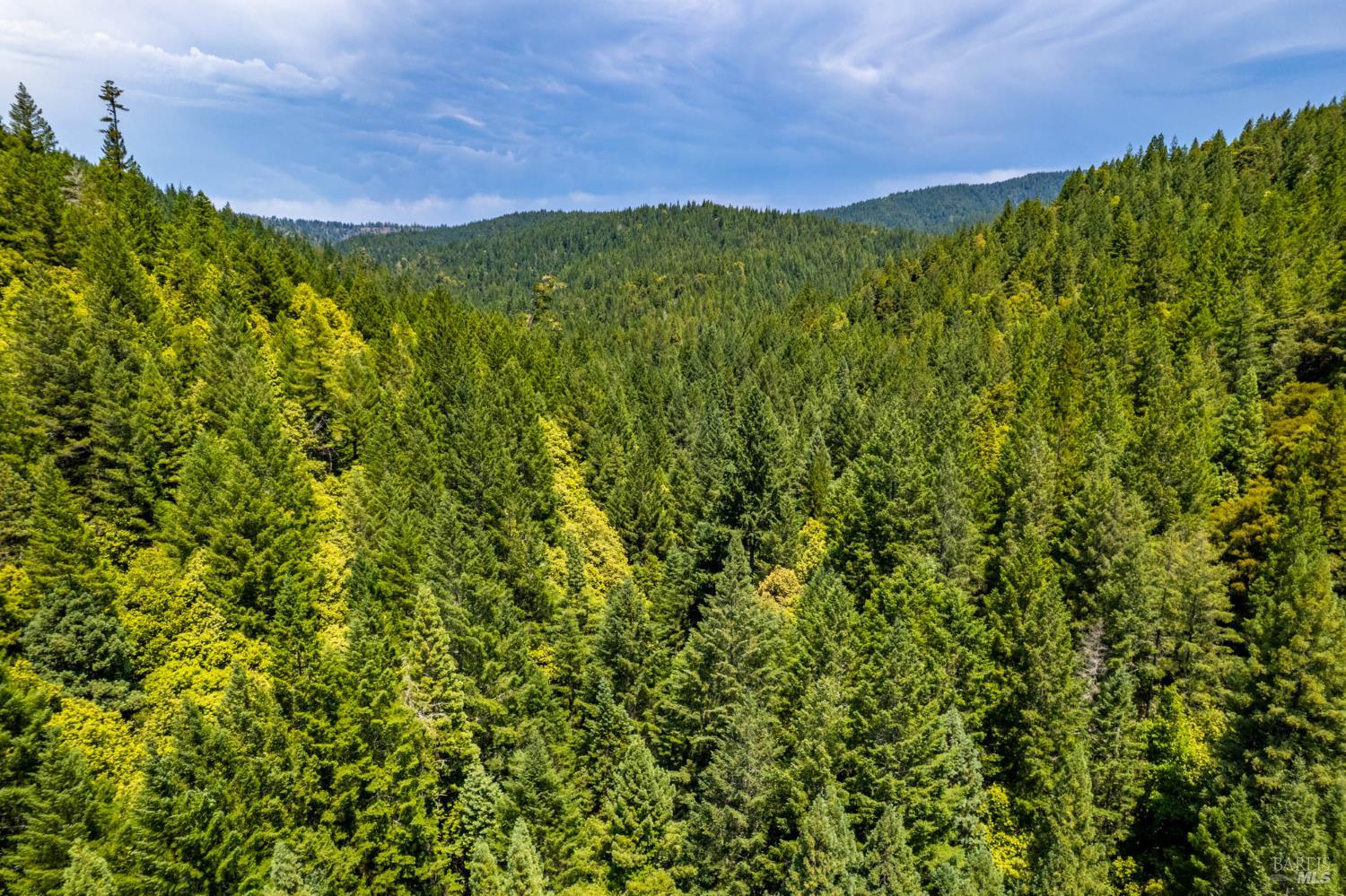 44150 Nash Mill Road Philo CA 95466