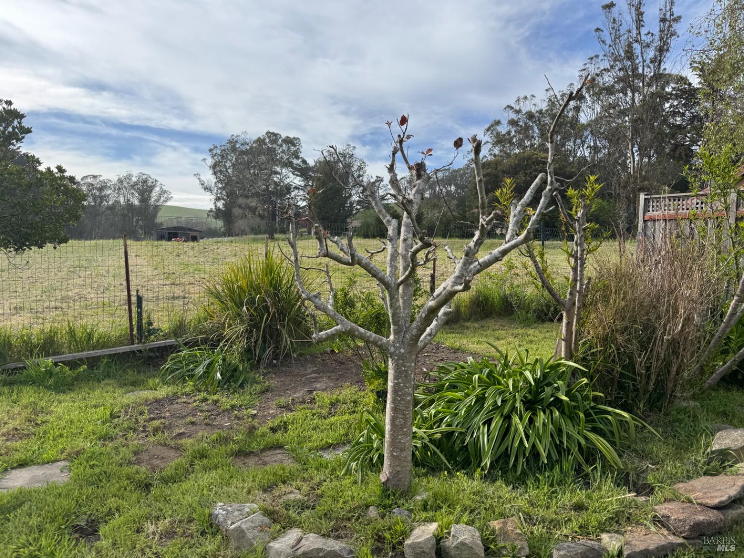 39 Carrie Street Tomales CA 94971