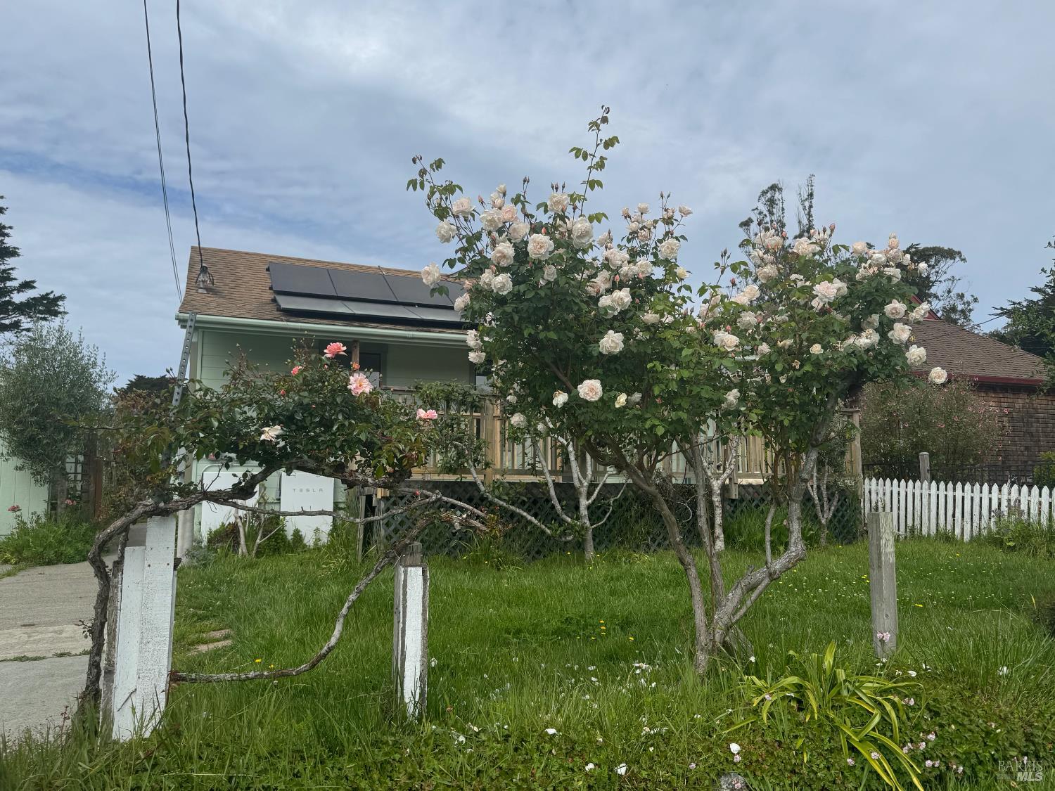 39 Carrie Street Tomales CA 94971