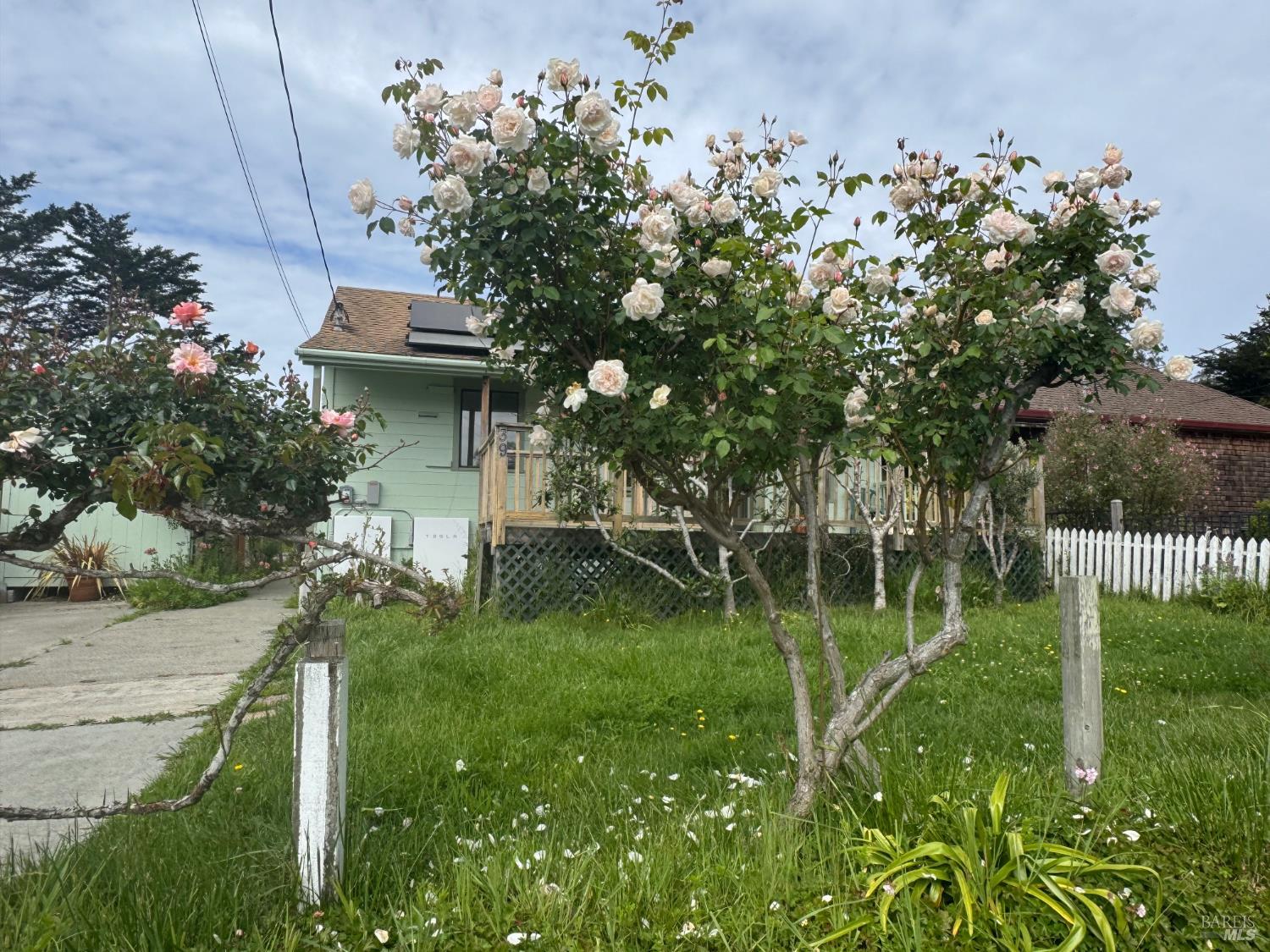 39 Carrie Street Tomales CA 94971