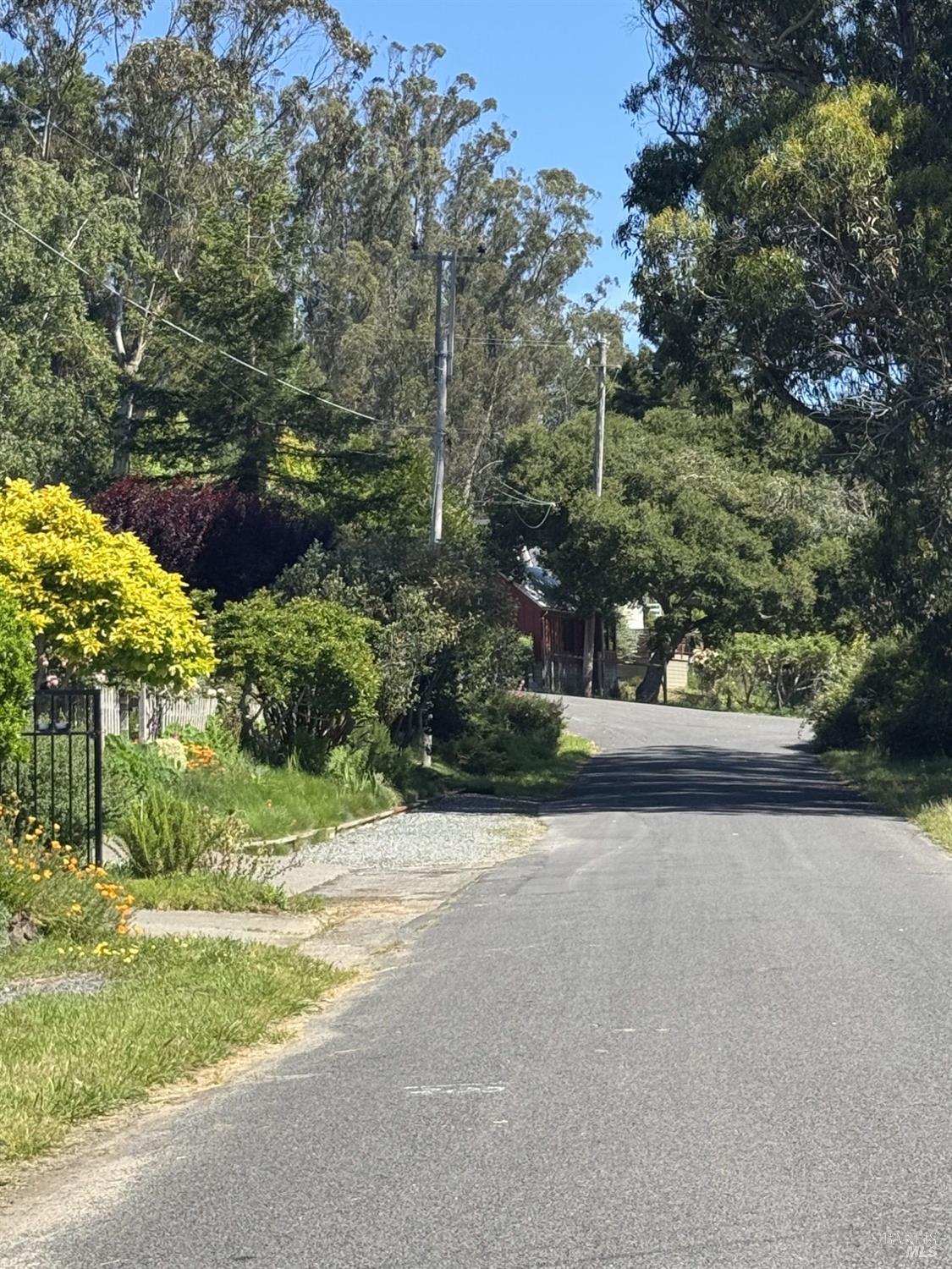 39 Carrie Street Tomales CA 94971