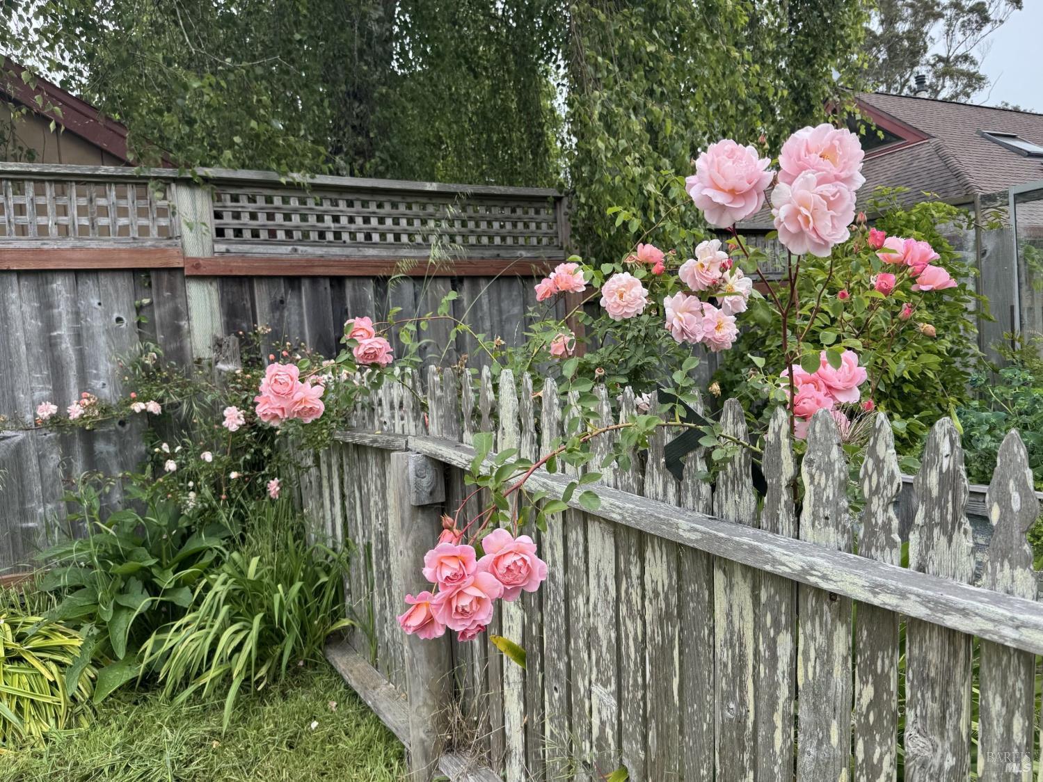 39 Carrie Street Tomales CA 94971