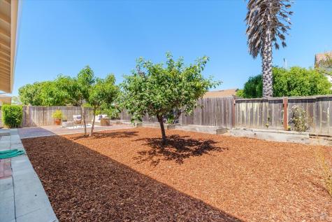26 Granada Drive Corte Madera CA 94925