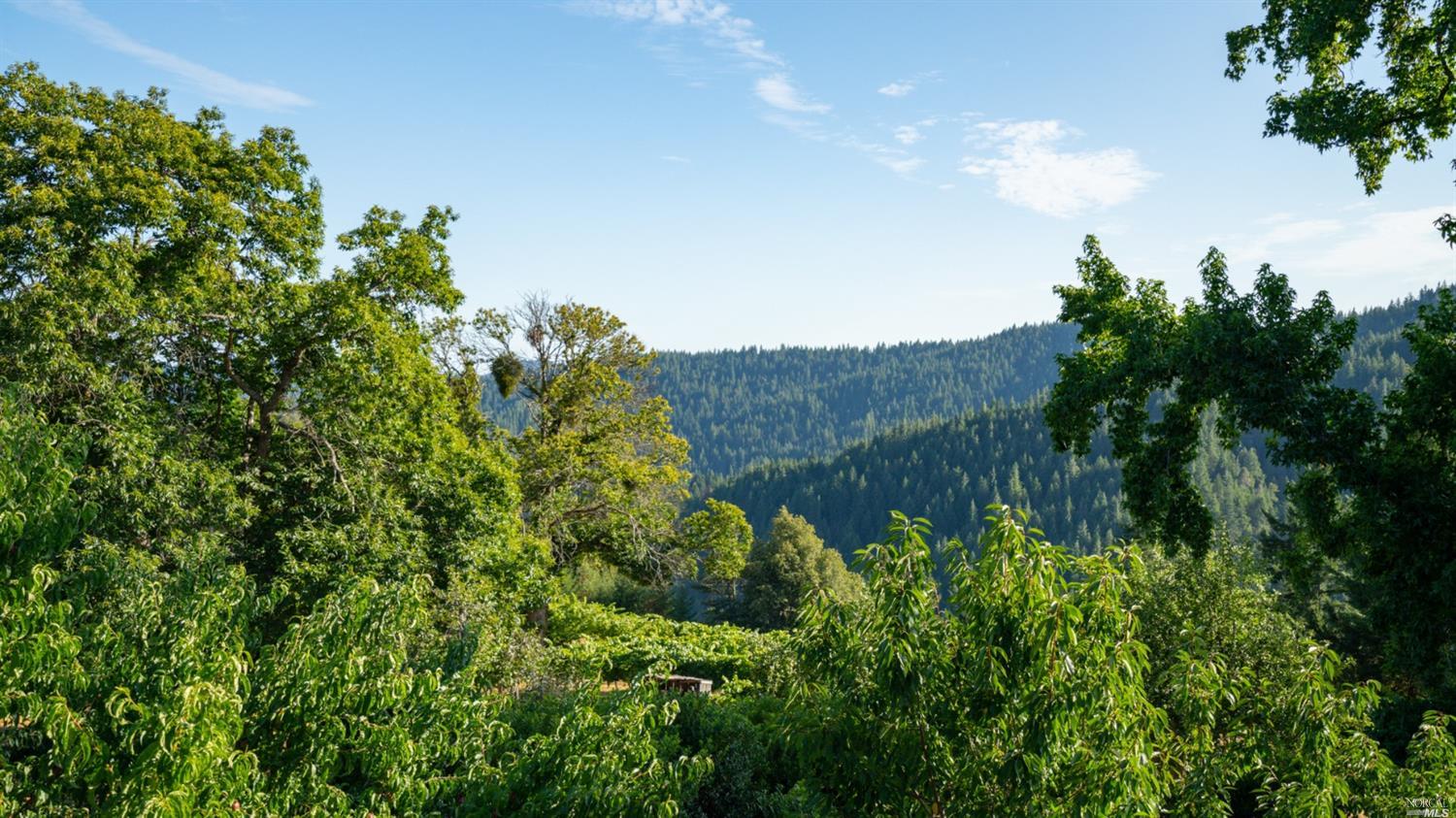 31101 Fish Rock Road Yorkville CA 95494