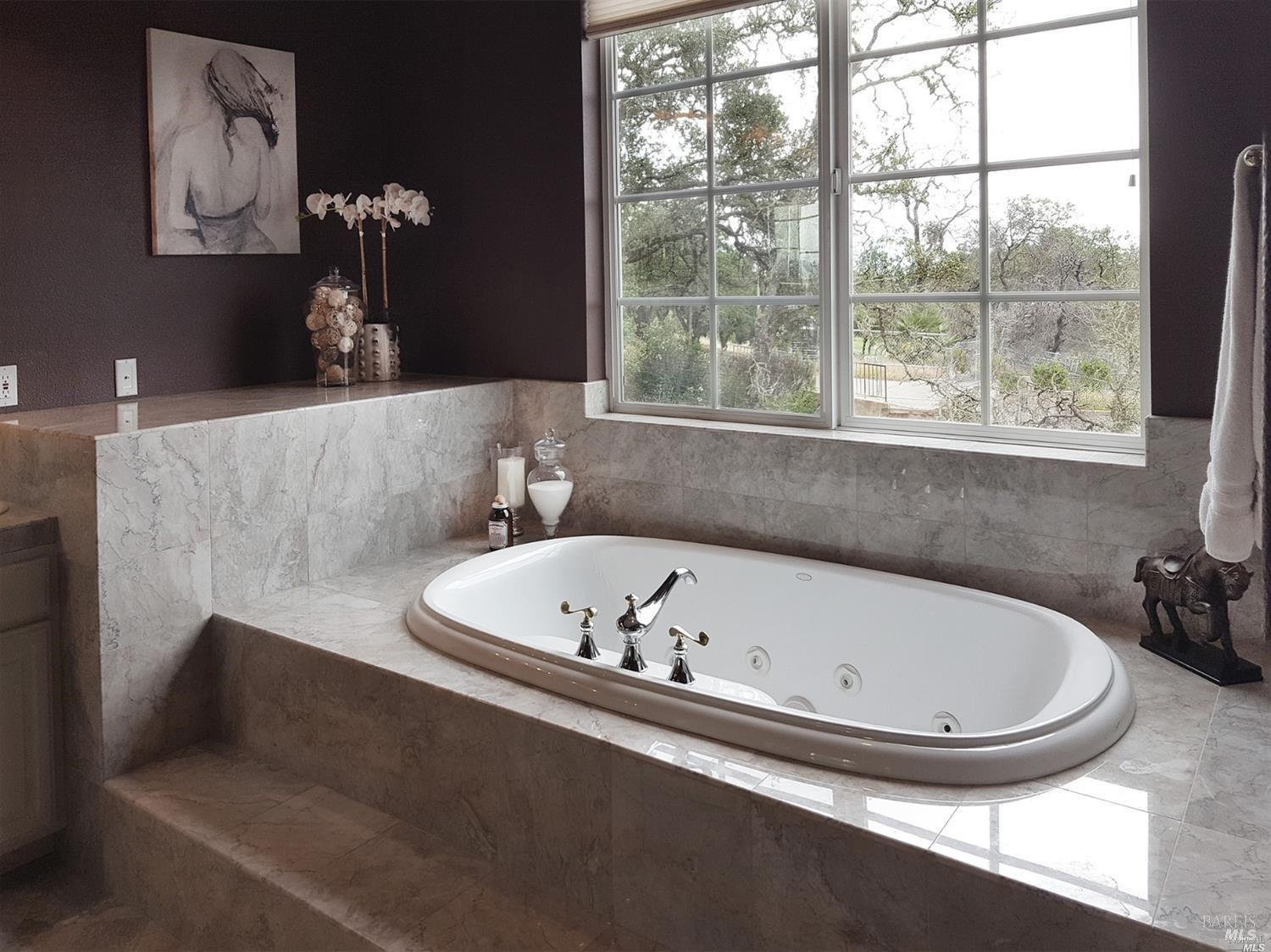 1161 Castle Oaks Drive Napa CA 94558