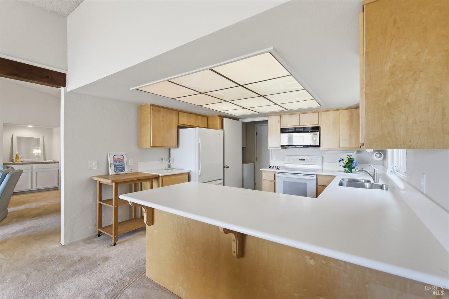 45 Bahama Reef Novato CA 94949