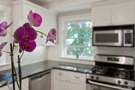 10 Pleasant Lane San Rafael CA 94901