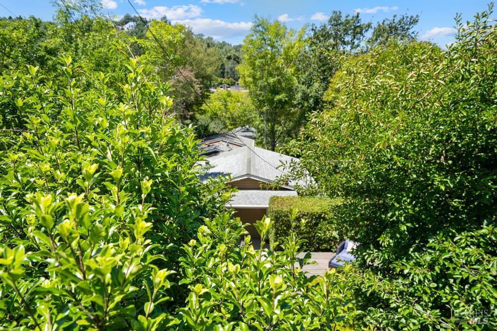 10 Pleasant Lane San Rafael CA 94901