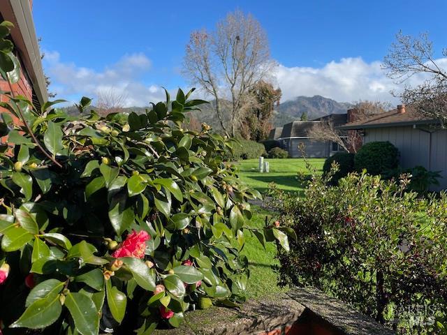 27 Woodgreen Street Santa Rosa CA 95409