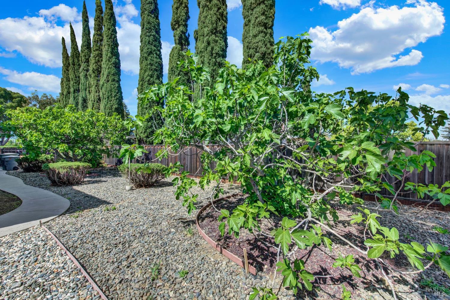 442 Yellowstone Drive Vacaville CA 95687