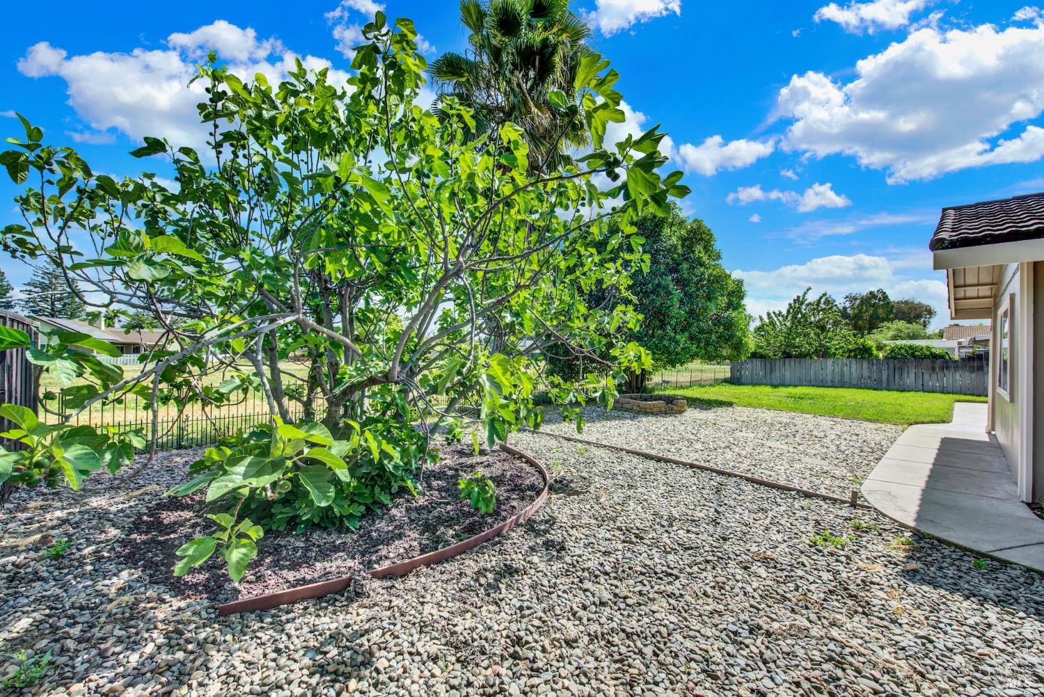 442 Yellowstone Drive Vacaville CA 95687