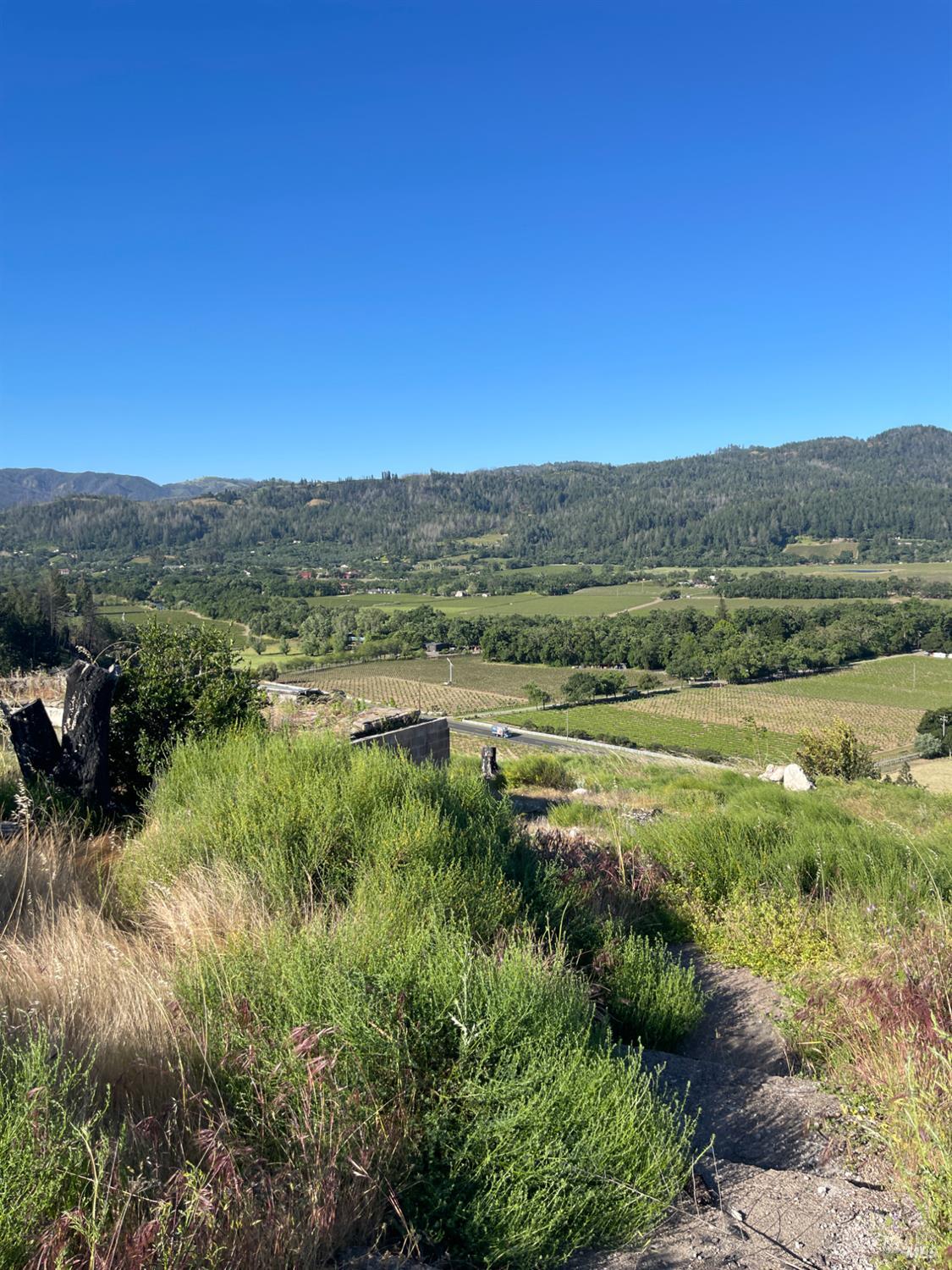 3500 Silverado Trail N St. Helena CA 94574