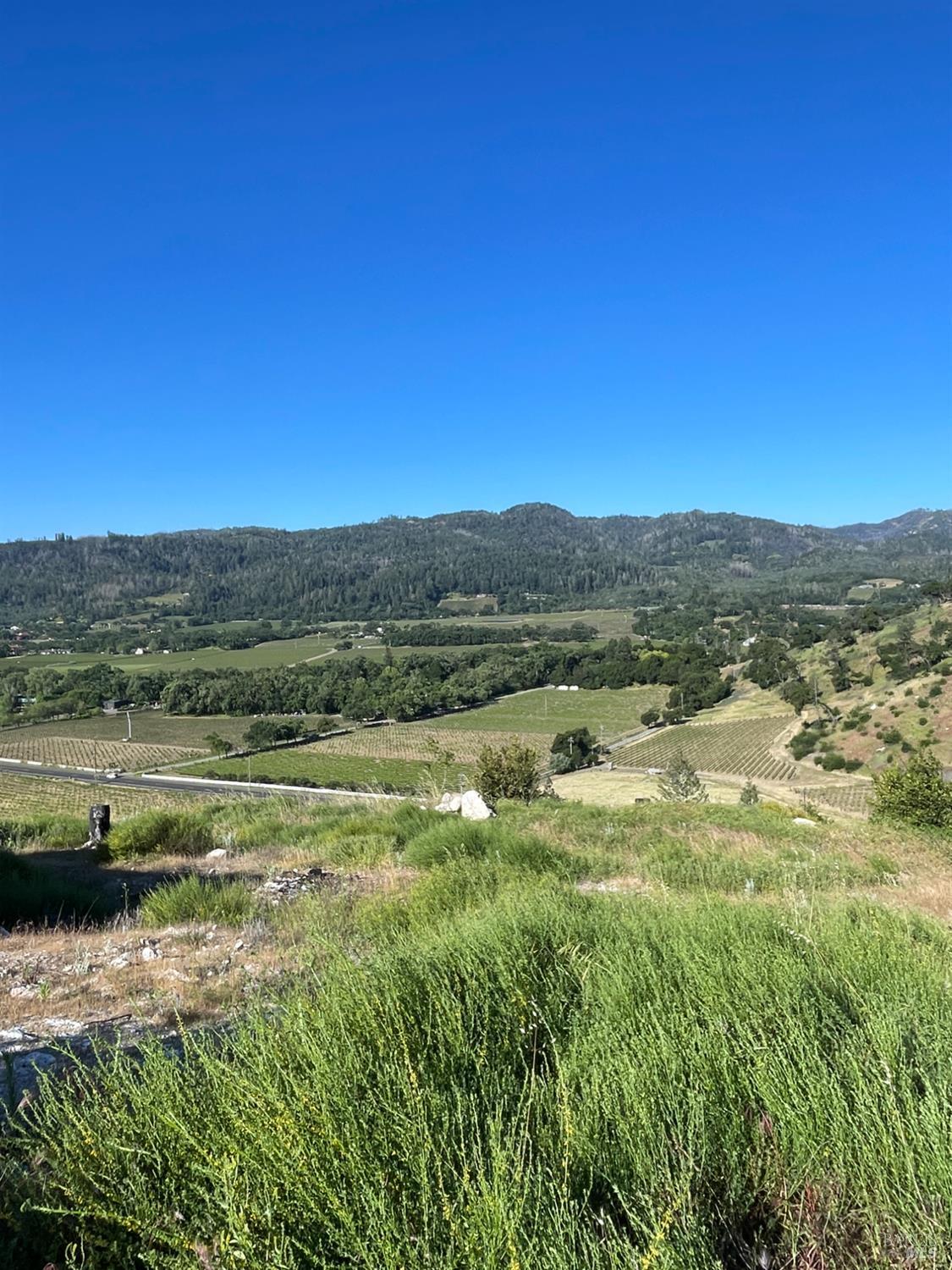 3500 Silverado Trail N St. Helena CA 94574