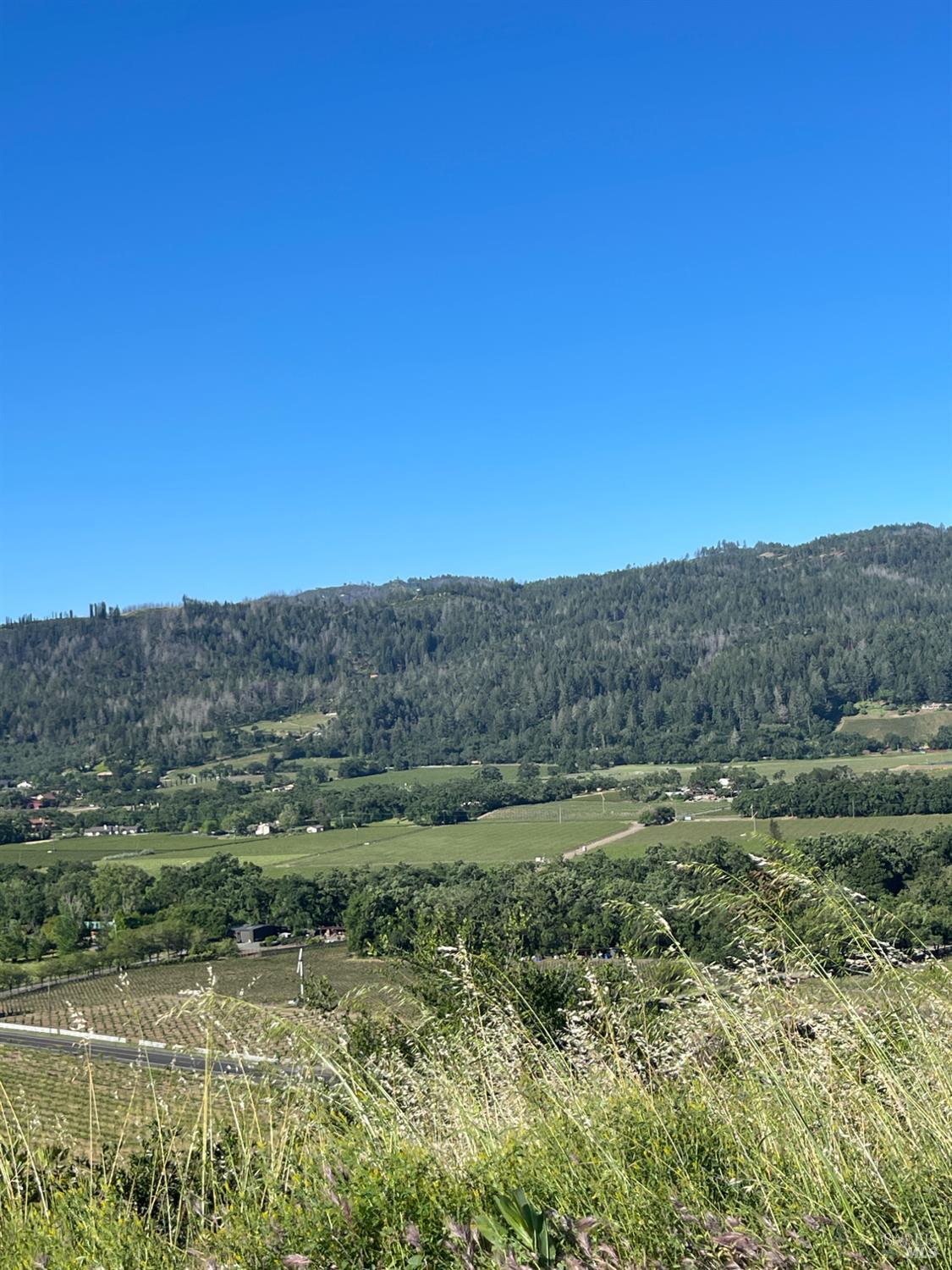 3500 Silverado Trail N St. Helena CA 94574