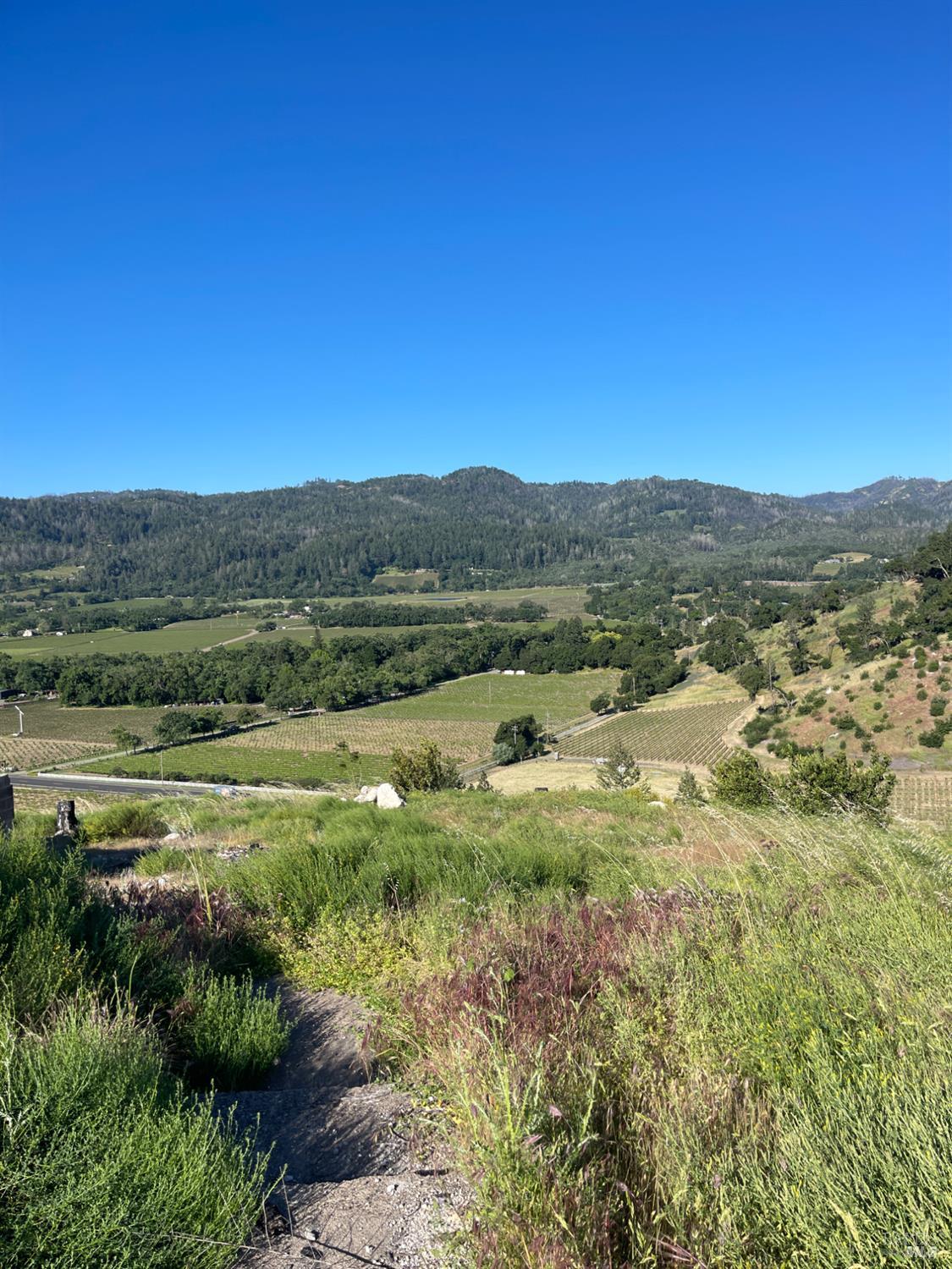 3500 Silverado Trail N St. Helena CA 94574