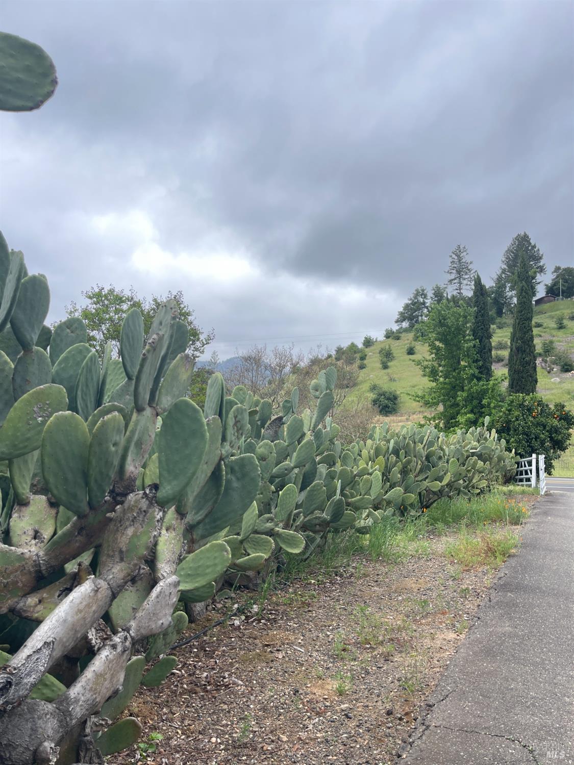 3500 Silverado Trail N St. Helena CA 94574
