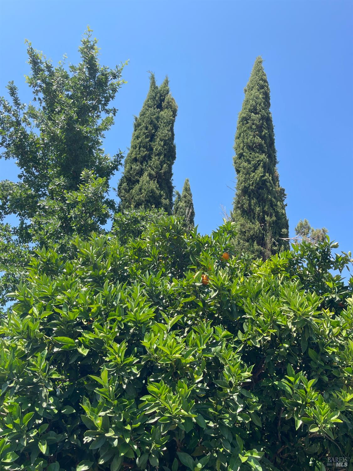 3500 Silverado Trail N St. Helena CA 94574