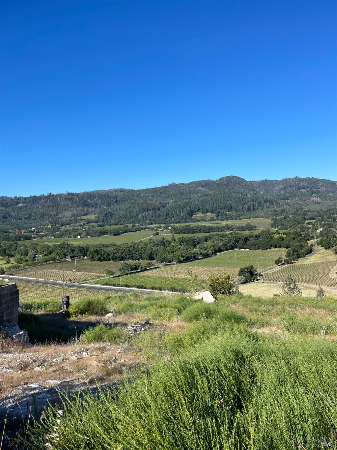 3500 Silverado Trail N St. Helena CA 94574