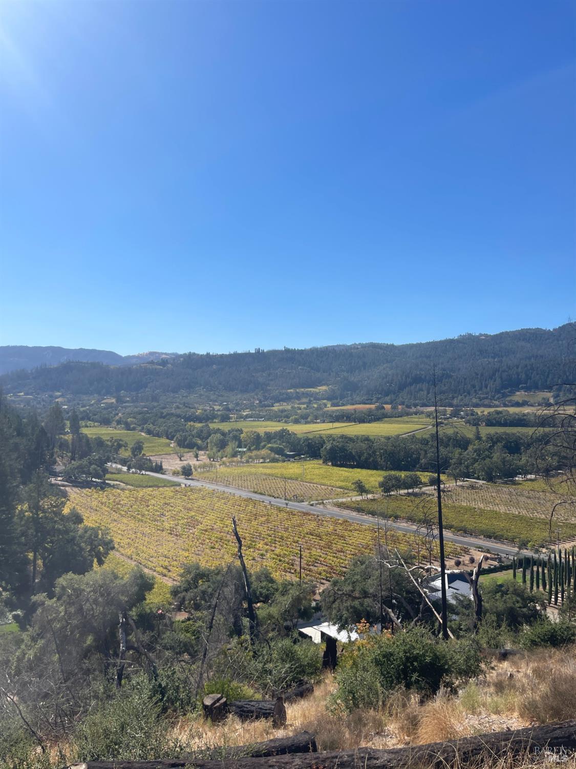 3500 Silverado Trail N St. Helena CA 94574