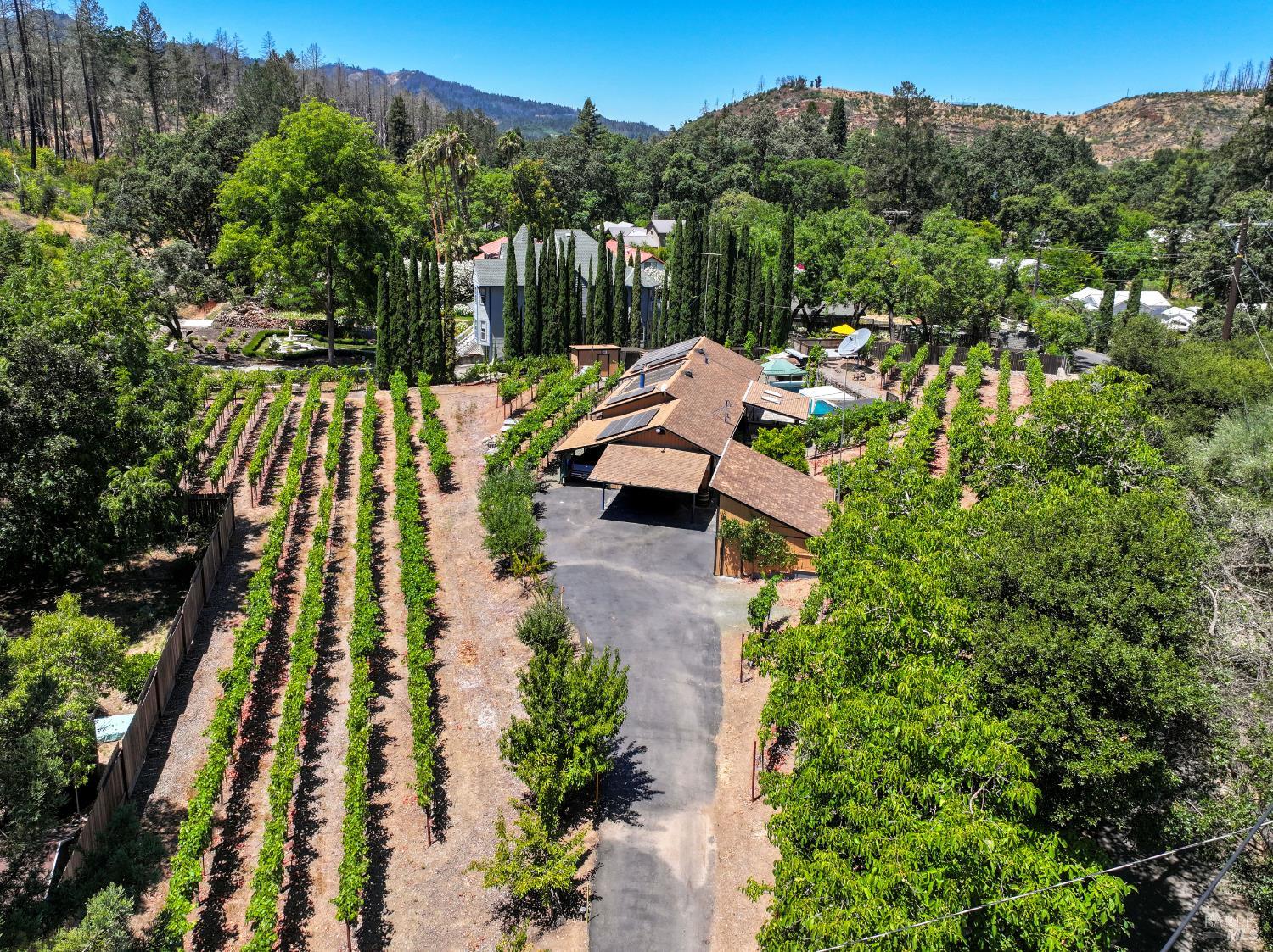 455 Glass Mountain Road St. Helena CA 94574