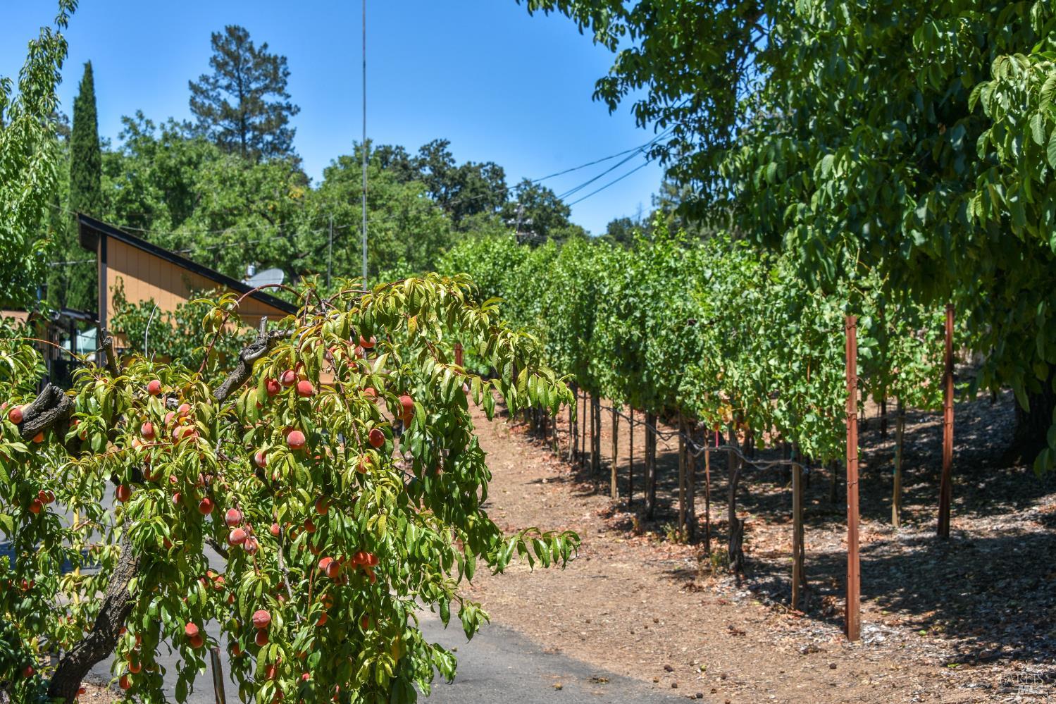 455 Glass Mountain Road St. Helena CA 94574